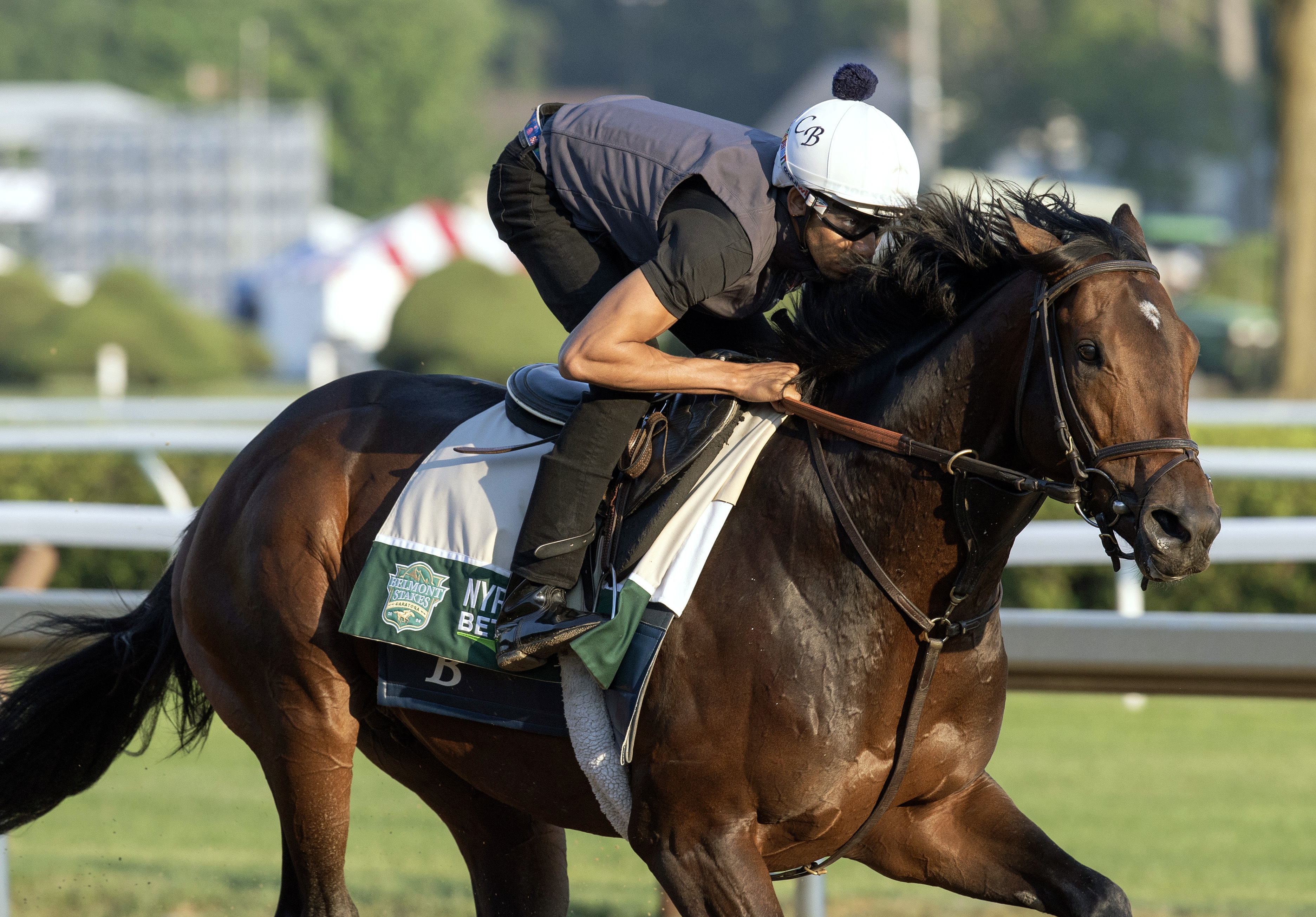 Belmont Stakes Day 2024 Best Bets On All Six Grade 1 Races🥮 Descubra o